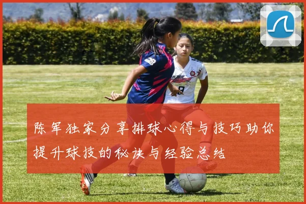 陈军独家分享排球心得与技巧助你提升球技的秘诀与经验总结