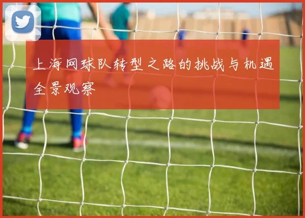 上海网球队转型之路的挑战与机遇全景观察