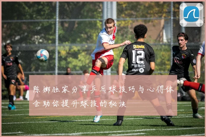 陈娜独家分享乒乓球技巧与心得体会助你提升球技的秘诀