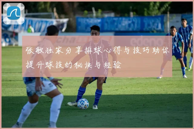 张敏独家分享排球心得与技巧助你提升球技的秘诀与经验