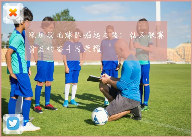 深圳羽毛球队崛起之路：钻石联赛背后的奋斗与荣耀