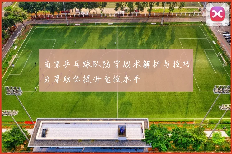 南京乒乓球队防守战术解析与技巧分享助你提升竞技水平
