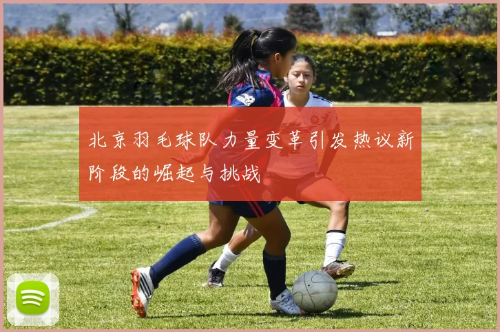 北京羽毛球队力量变革引发热议新阶段的崛起与挑战
