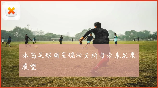 冰岛足球明星现状分析与未来发展展望