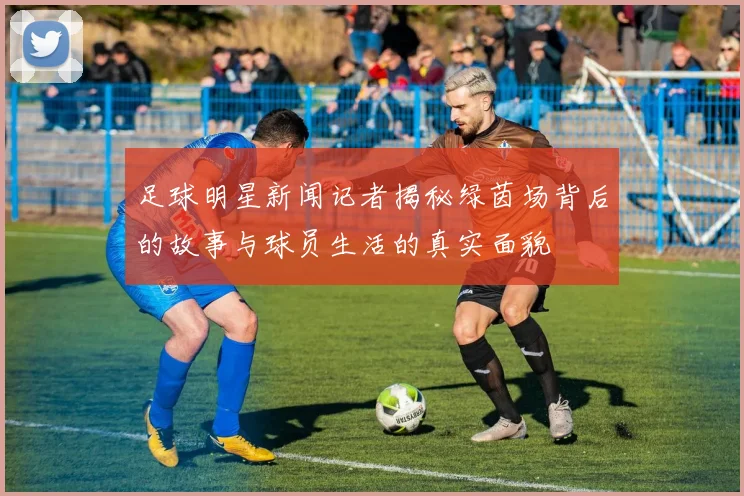 足球明星新闻记者揭秘绿茵场背后的故事与球员生活的真实面貌