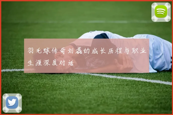 羽毛球传奇刘磊的成长历程与职业生涯深度对话