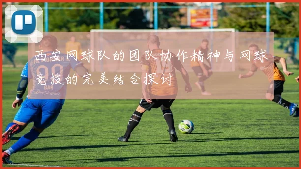 西安网球队的团队协作精神与网球竞技的完美结合探讨