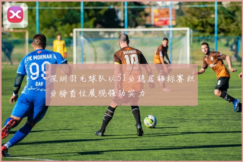 深圳羽毛球队以51分稳居锦标赛积分榜首位展现强劲实力